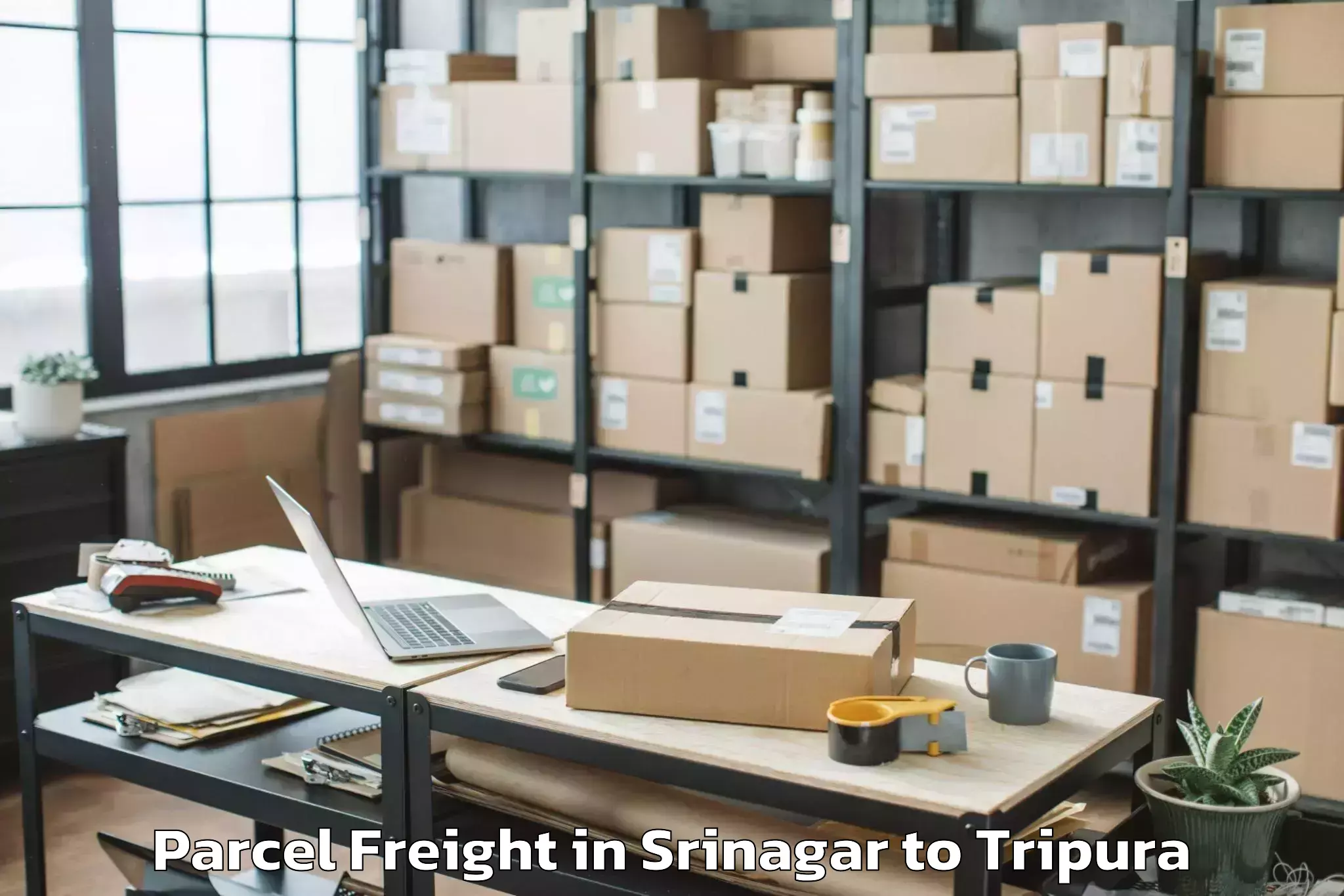 Reliable Srinagar to Icfai University Tripura Agart Parcel Freight